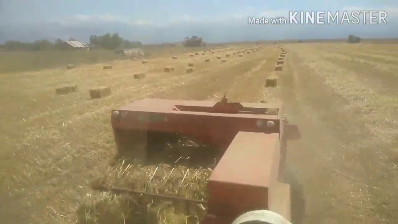 Прессподборщик sipma z224/1. Присуем пшеничную солому. Эксперимент с нитками,какие лучше? МТЗ 82.1.