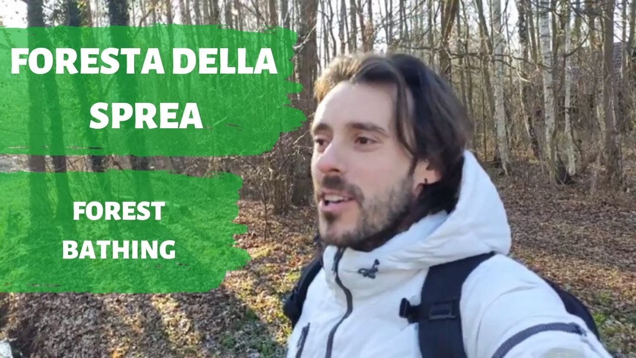Scopriamo la Foresta della Sprea a Lübben nella Spreewald a pochi km da BERLINO!
