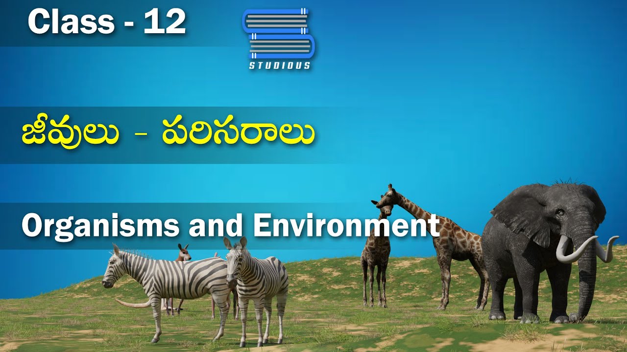 జీవులు పరిసరాలు – Organisms and environment | Ecosystem | Biology Telugu | Class 12 Bipc 2nd year