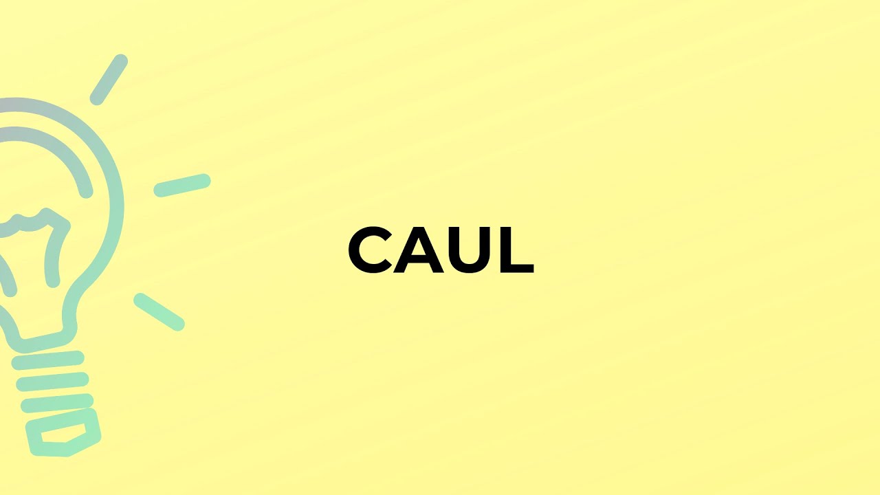 What is the meaning of the word CAUL?
