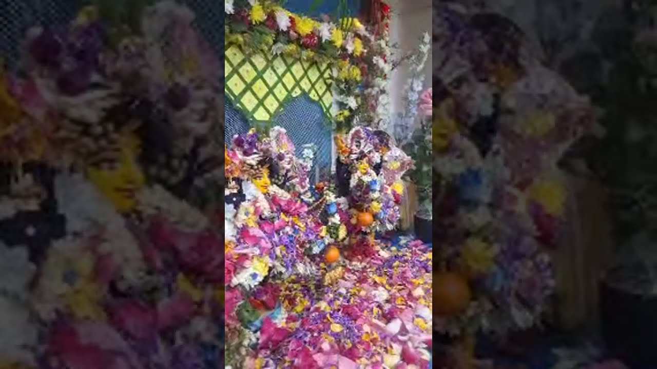 श्री श्री गौर निताई पुष्प अभिषेक