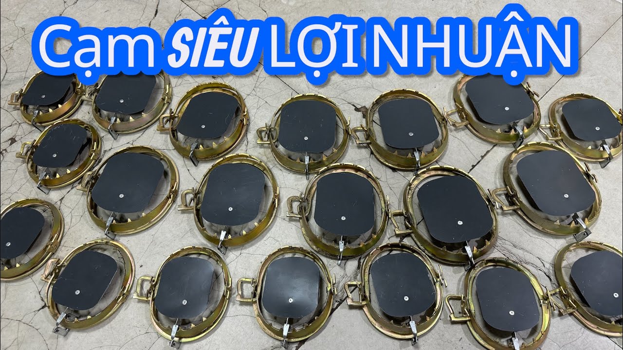 NĂM MỚI - giá MỚI 2 bẫy cạm kiềng 14-16cm ,bẫy kẹp chống rỉ đổi mới từ CHẤT đến ĐỘ BỀN 