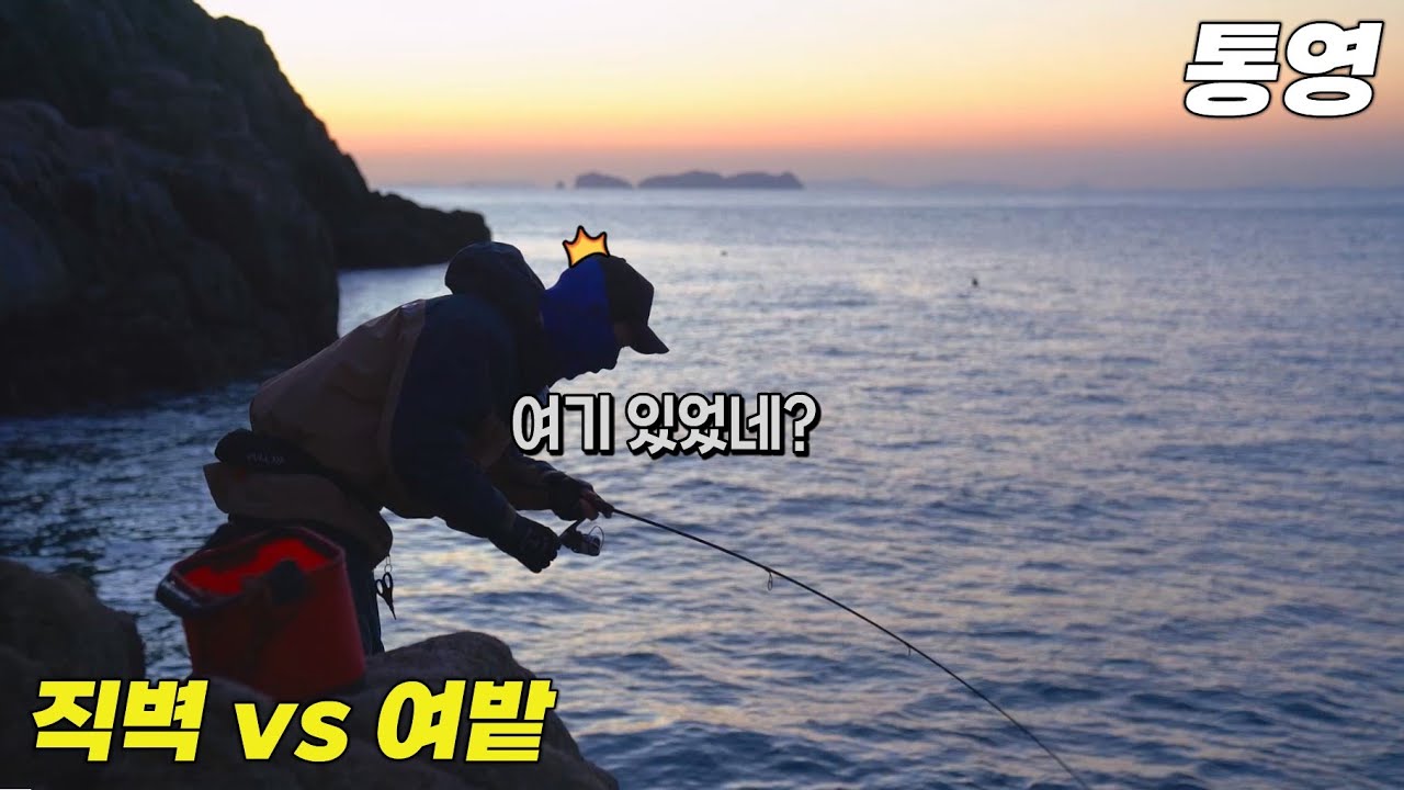 물때가 바뀌자 모이기 시작하더니, 던지는 족족 반응이 ㄷㄷ