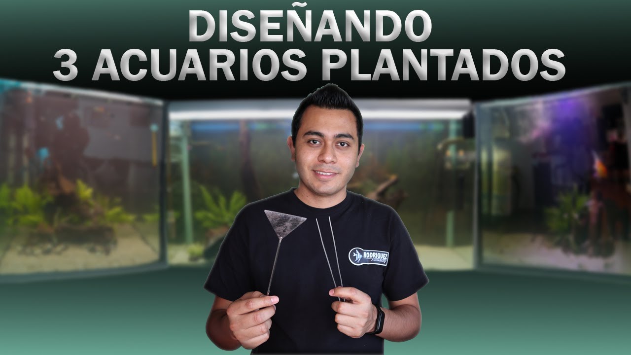 DISE&Ntilde;ANDO 3 ACUARIOS PLANTADOS FACIL Y ECON&Oacute;MICO @AquaTecnoLogicos