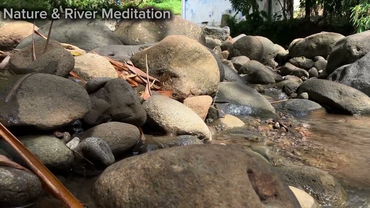 Jeram River Forest water flows in rock crevices for Learning & Insomnia
