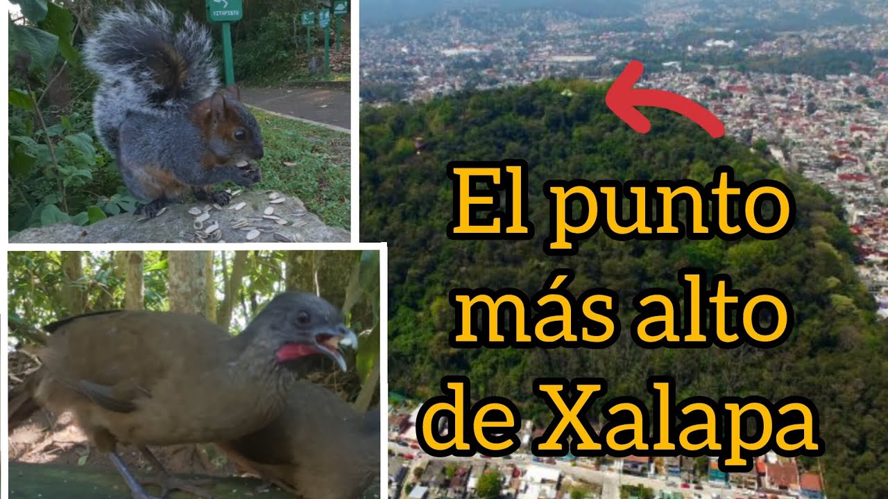 FUIMOS A UN VOLCÁN EN MEDIO DE LA CIUDAD | Cerro de Macuiltepetl 