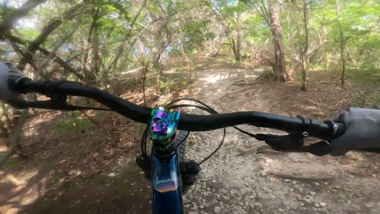Tree House |  Walnut Creek Austin TX,