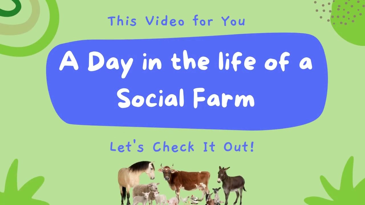 A Day In The Life Of Social Farming