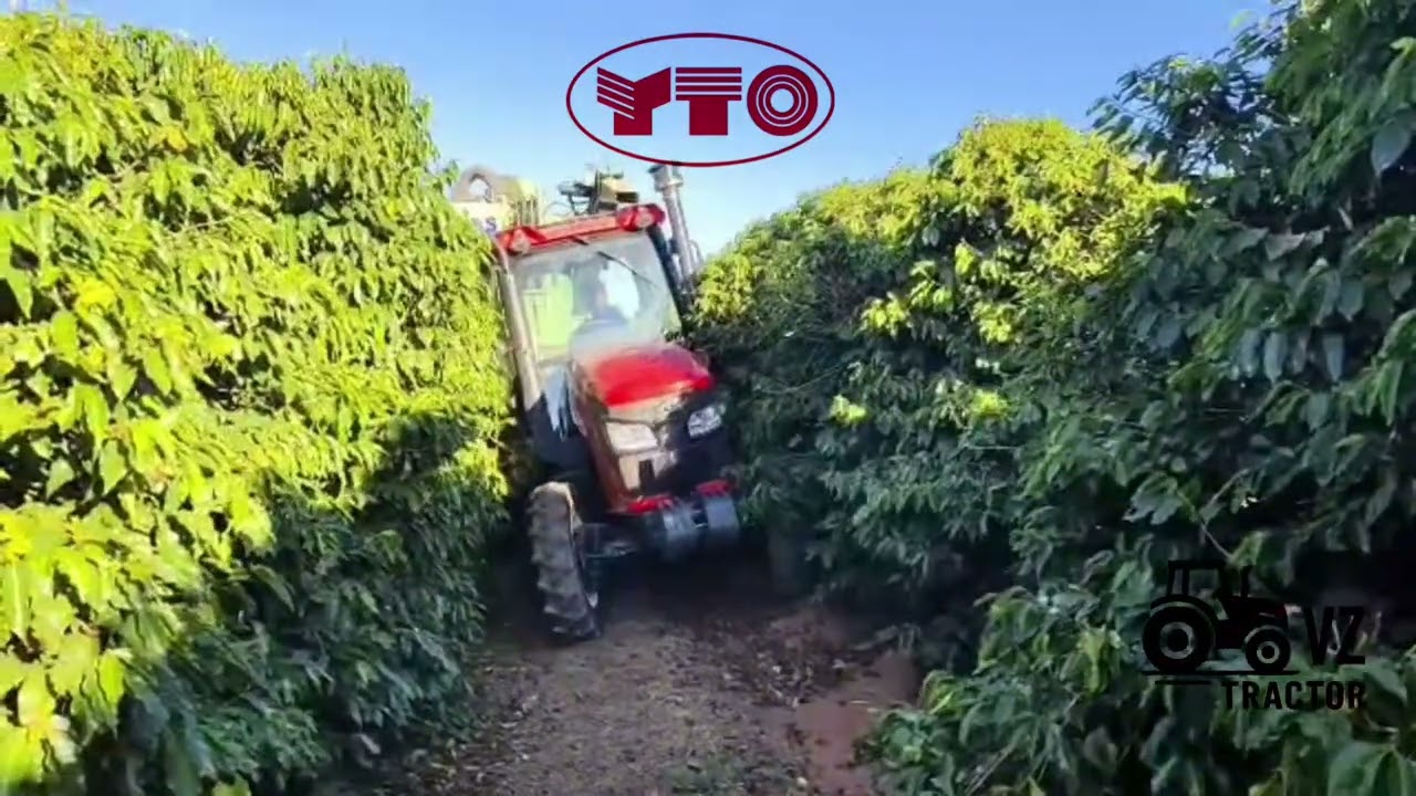 Trator YTO  654 65cv com redutor 
