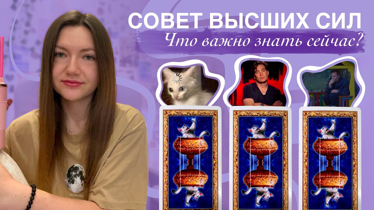 Совет Высших сил. Что важно знать сейчас? Таро онлайн🕊️ 