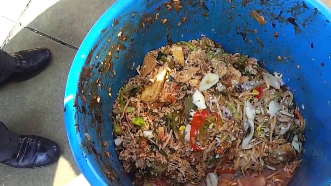 Bio Green Usage