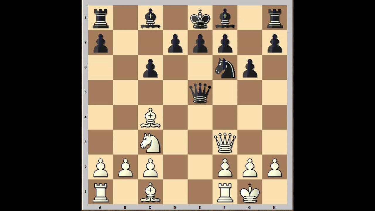 Sicilian Defense: Accelerated Dragon: Dobkin vs Weil