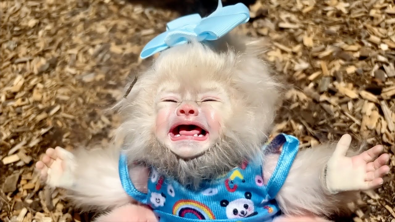 Baby Yeti Icelyn goes down the slide at the park and cries