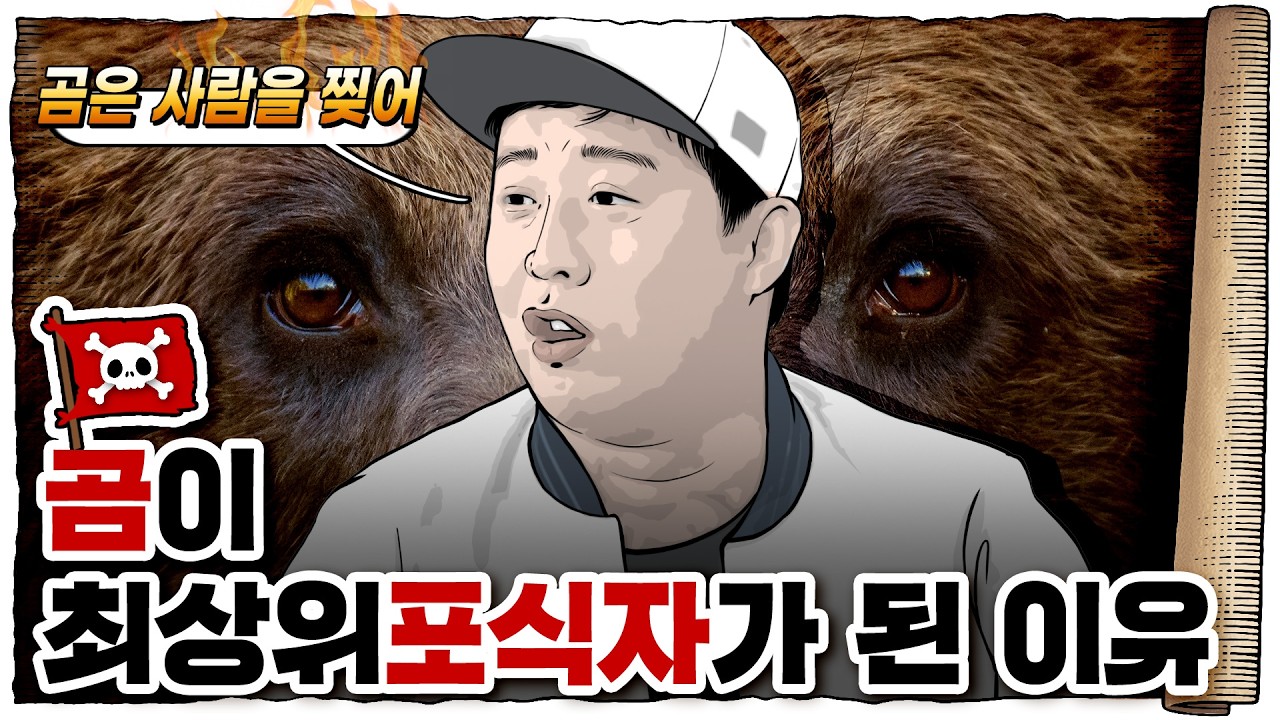 💀 잡식동물류 최강의 동물… 곰🐻 / 💀 곰이랑 싸우면 이길 수 있을까?