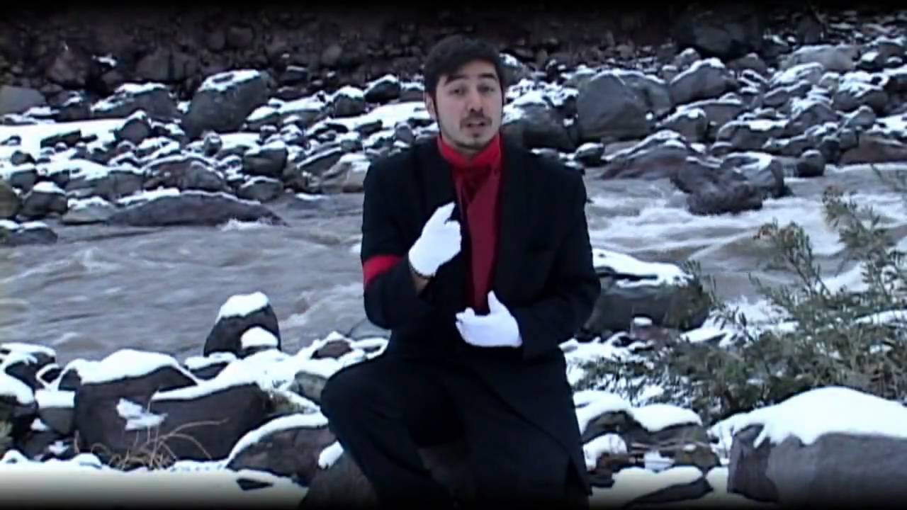 CEVLADE - MADRIGAL TRISTE ( Baudelaire )(Video 2009)
