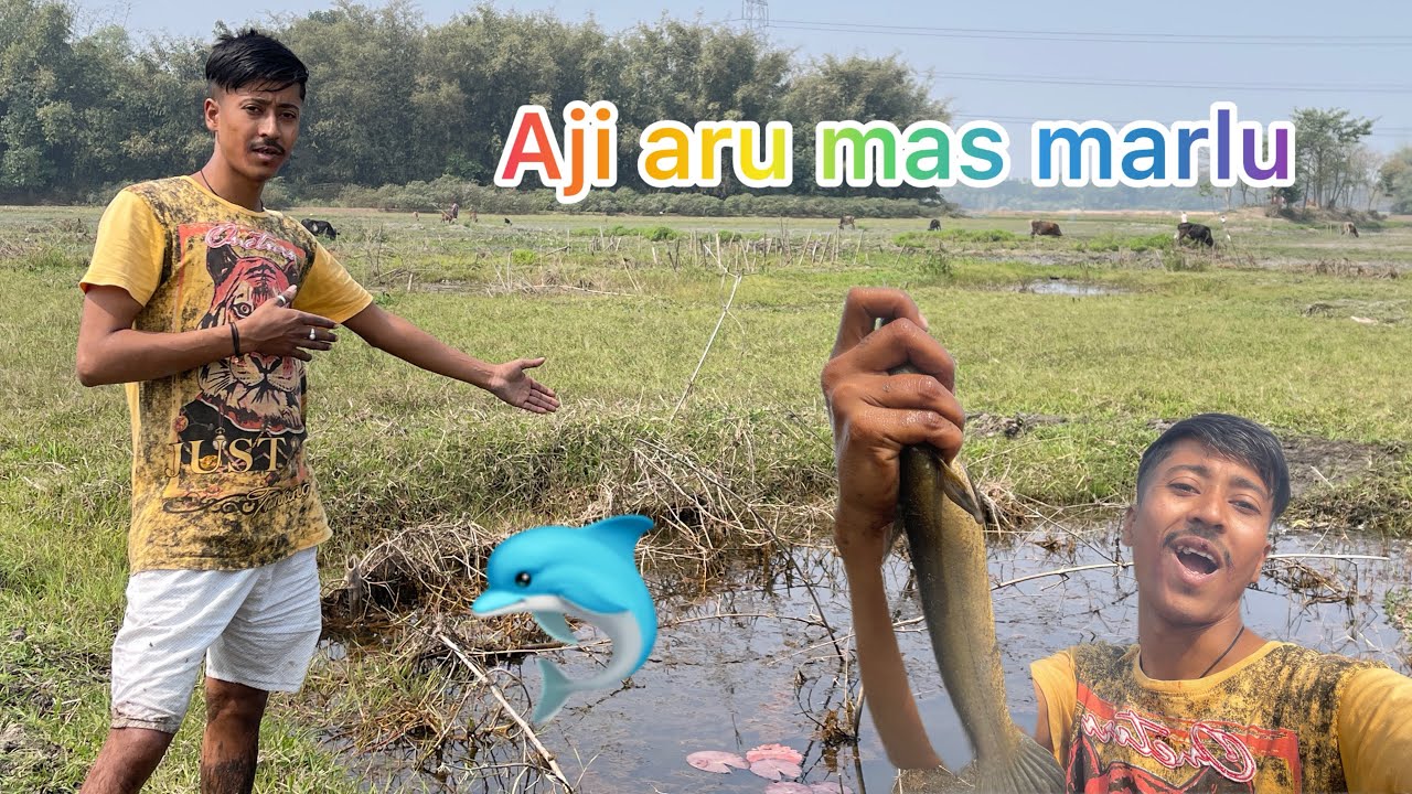 Hi guys aji aru taman mas marlu Assamese video 😁😁
