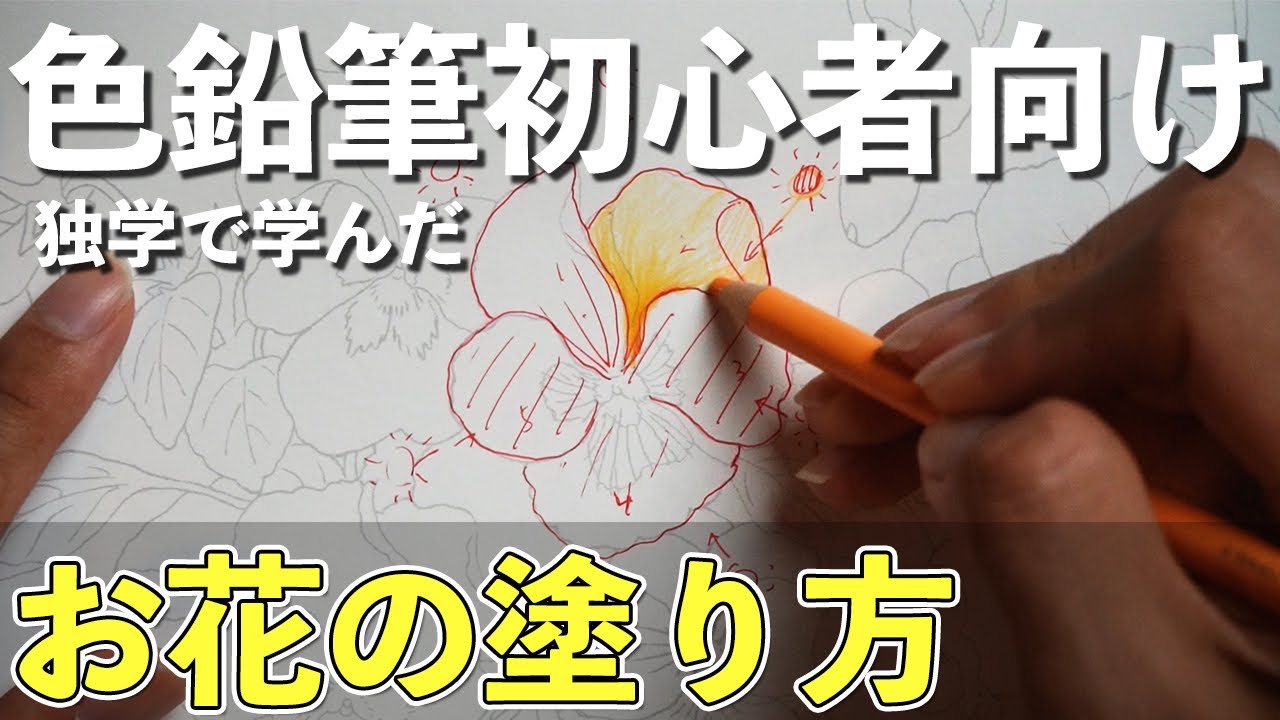 【お花の塗り方】絵師独学の大人の塗り絵の塗り方をご紹介!!絵が上手くなるポイントなどもお話ししてます!!