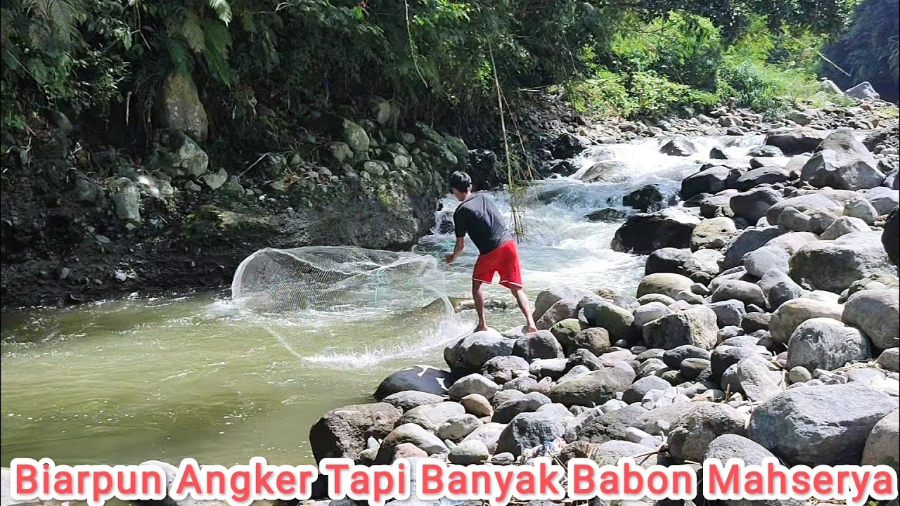 Jos Bgt Jala Ikan di Sungai Arus Deras Banyak Babonya cuy