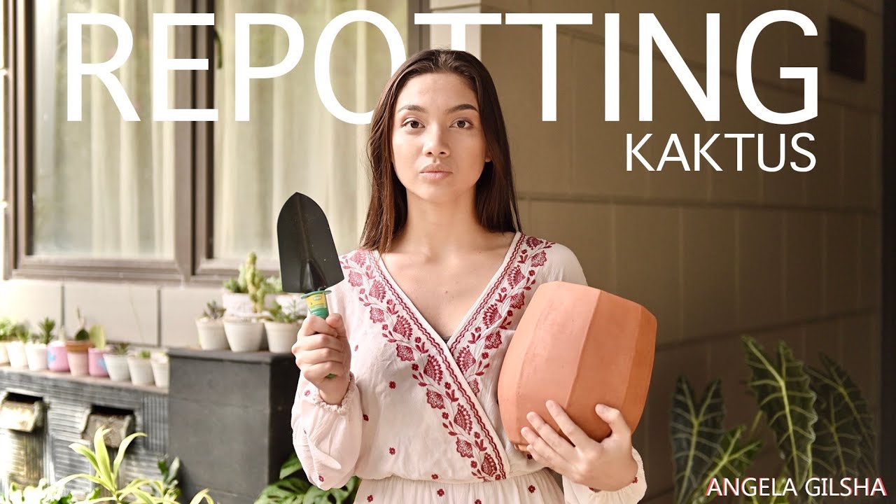 Repotting Cactus | Plant care #Eps4