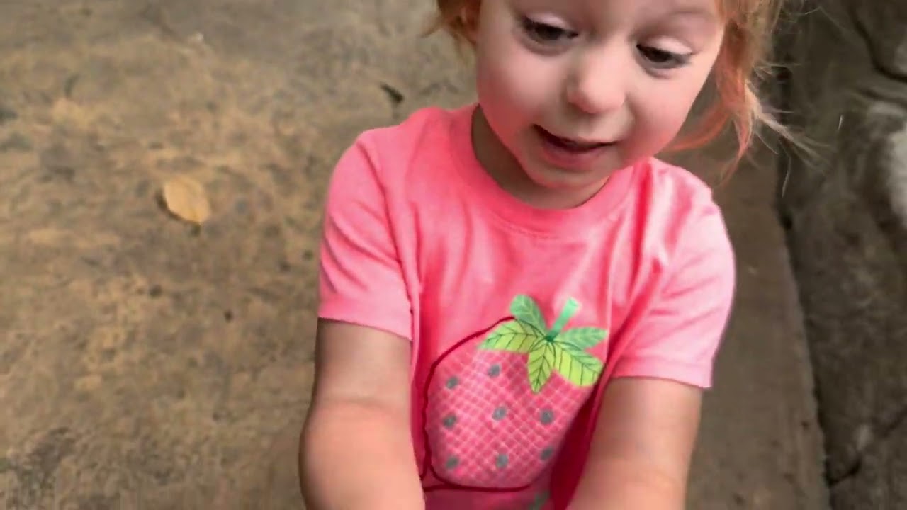 Tulsa Zoo 08.022025