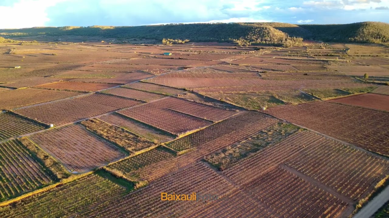 ¡Viñedos de Campo Arcís a VISTA DE DRON! 😱 La joya secreta de Utiel-Requena 🍇✈️