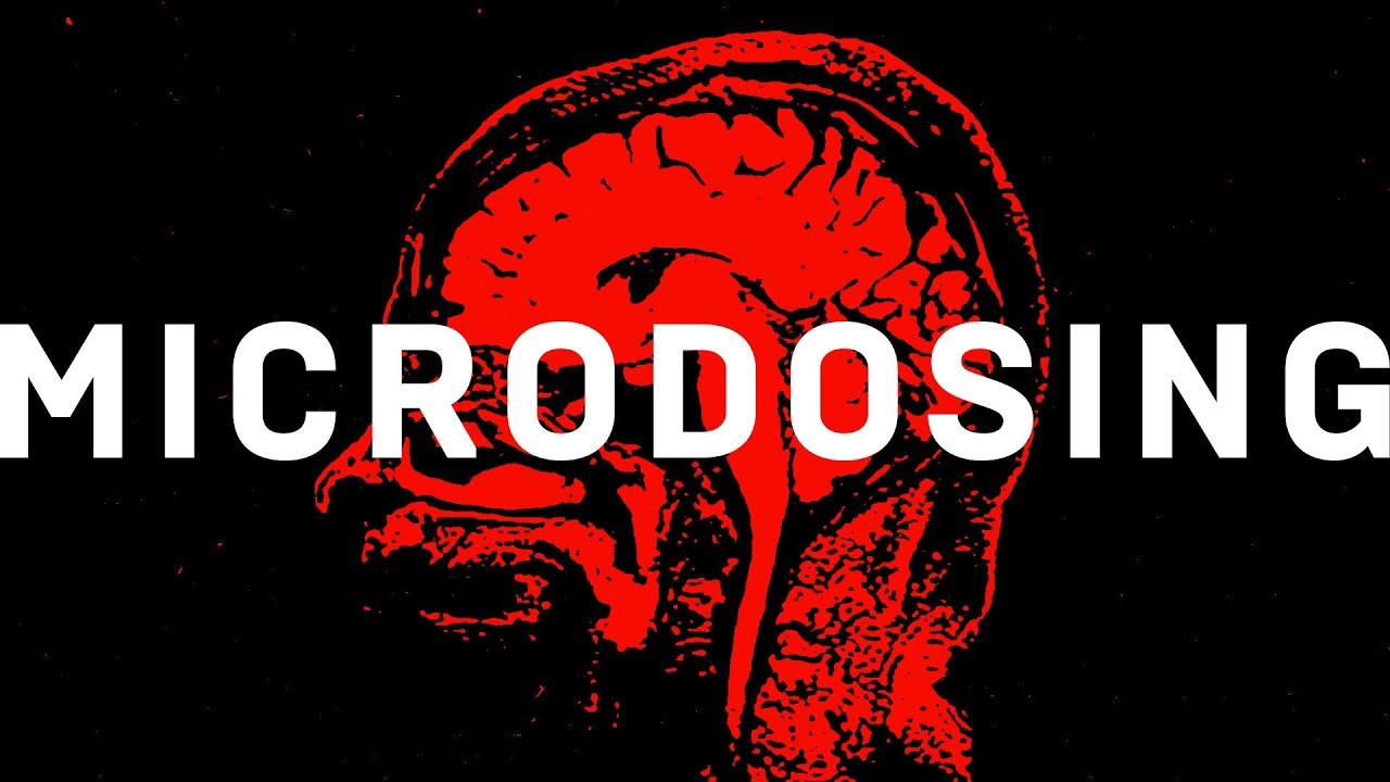 Does microdosing LSD make you smarter? | WIRED Explains