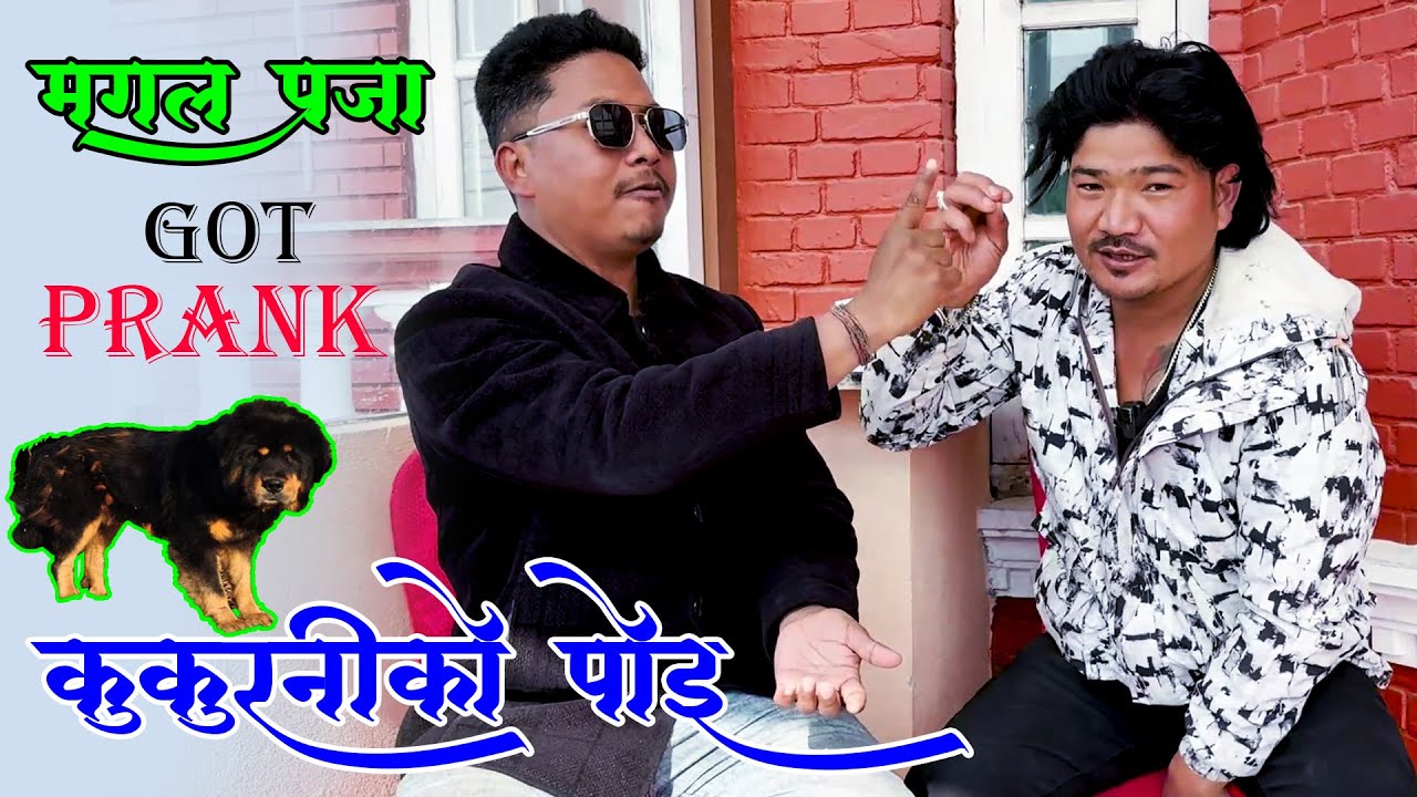 New Nepali Prank भाइरल मंगल प्रजा Got Prank कुकुर्निको पोइ Prank By Kapil Magar 2082 