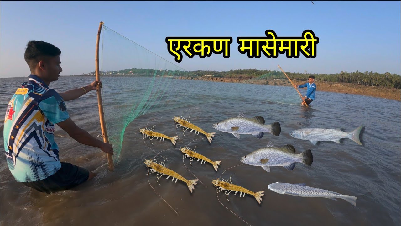 समुद्रकिनाऱ्यावर एरकन मध्ये भेटले मिक्स मासे. Beach treditional fishing. Mumbai India fishing 
