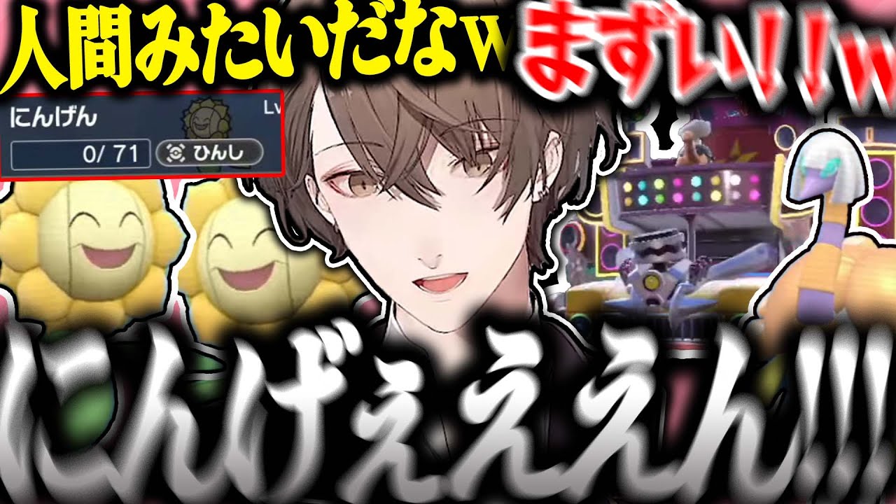 【面白まとめ】キマワリ（にんげん）をゲットしめちゃくちゃ気に入る社長のポケモンSVが面白過ぎたｗ【加賀美ハヤト/ポケモンSV/にじさんじ/切り抜き】