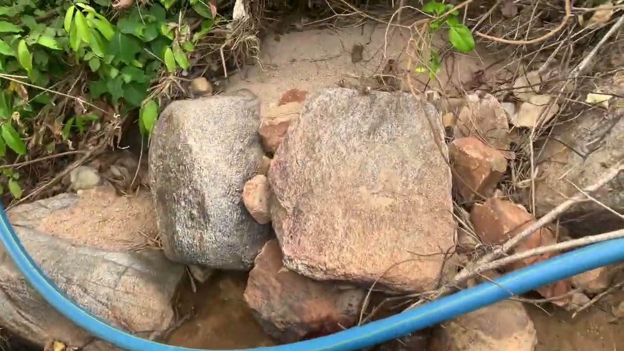 Đầu Năm Đi Nhận Việc Gặp Đá Quý 