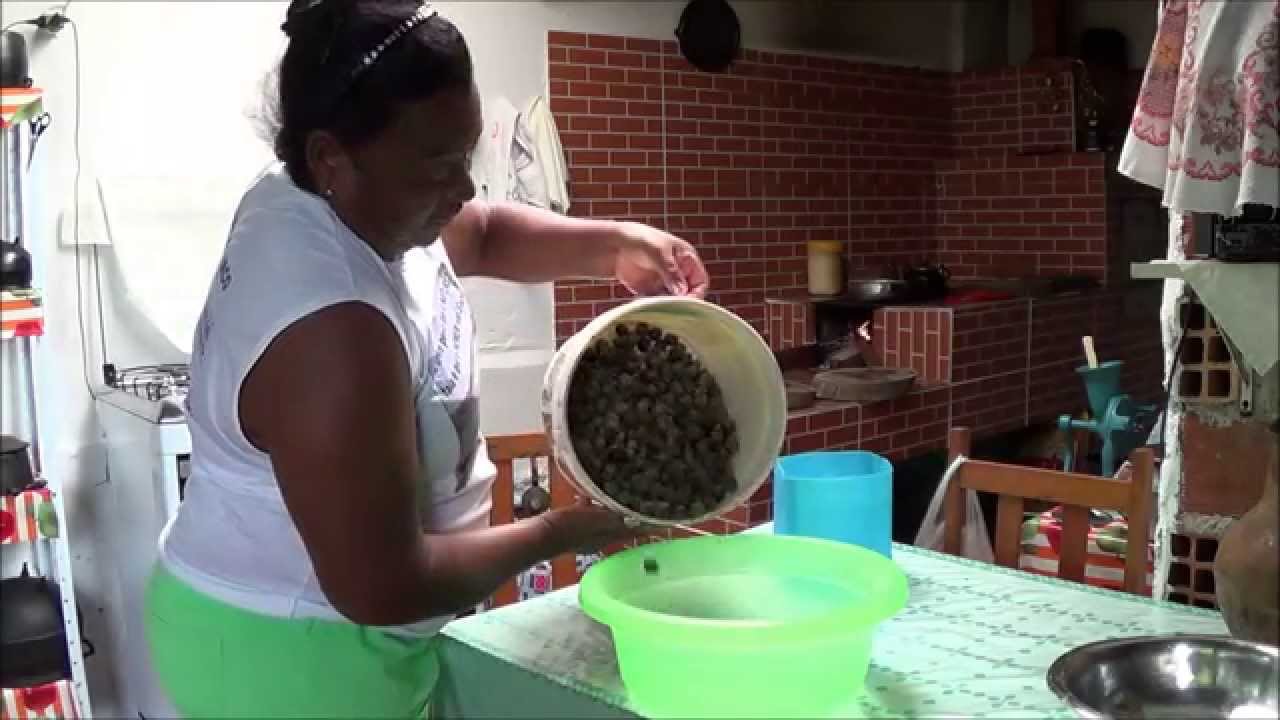 COMO RETIRAR A POUPA DA BACABA