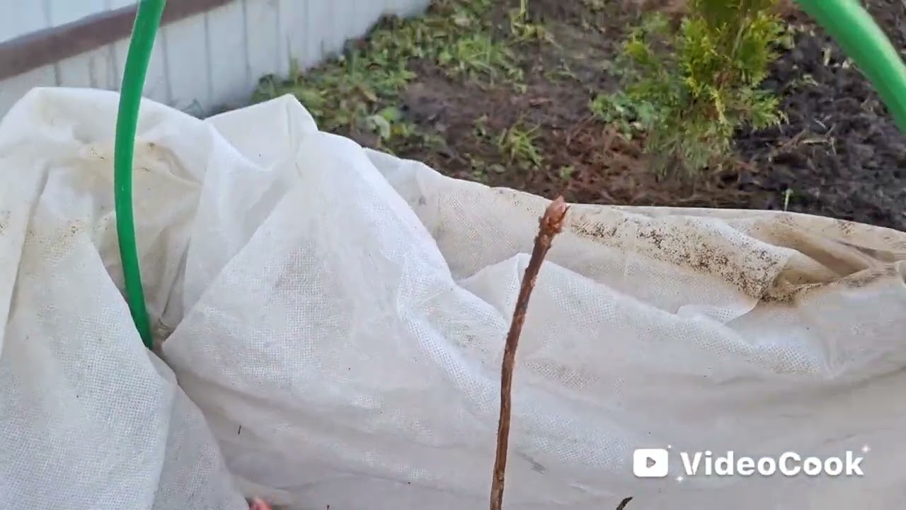 Наши 8,4 сотки🏡Первые весенние работы на нашем участке👍