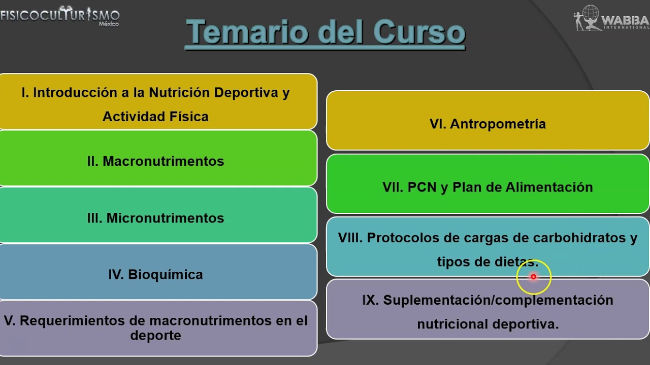 CERTIFICACI&Oacute;N COMO ASESOR EN NUTRICI&Oacute;N DEPORTIVA (FISICOCULTURISMO M&Eacute;XICO S.C., afiliada a WABBA.