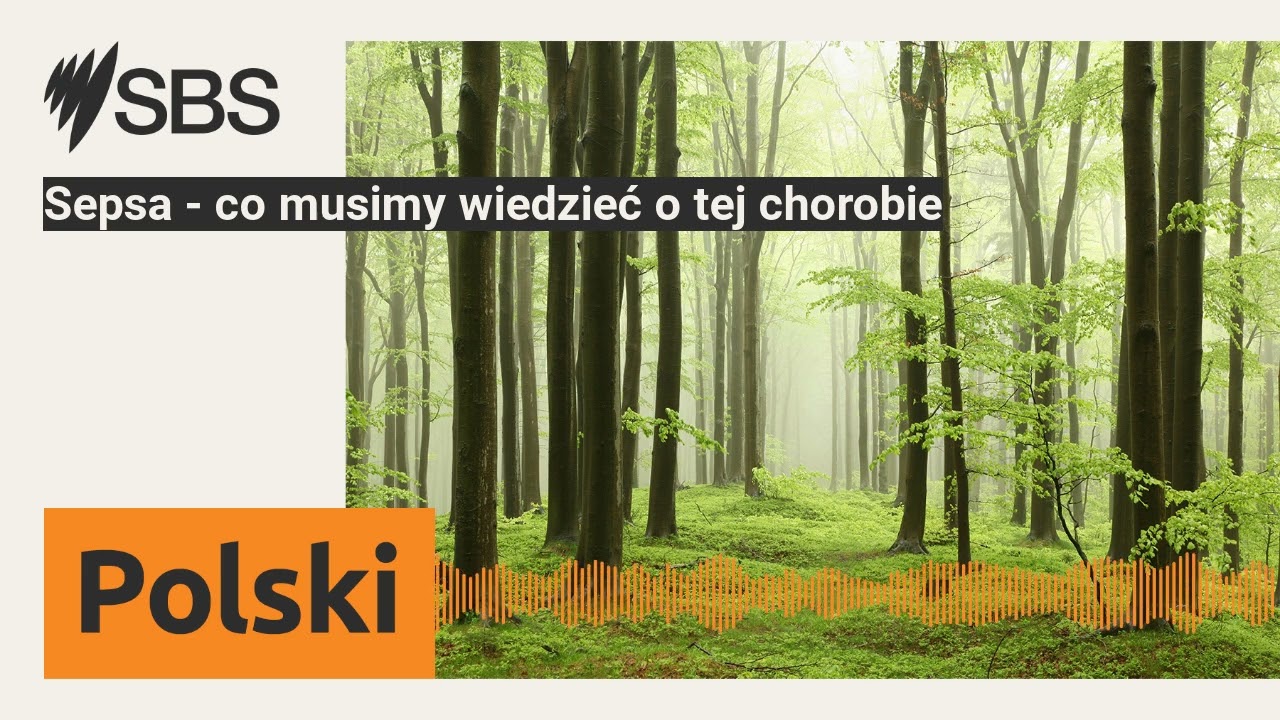 Sepsa - co musimy wiedzieć o tej chorobie | SBS Polish - SBS po polsku