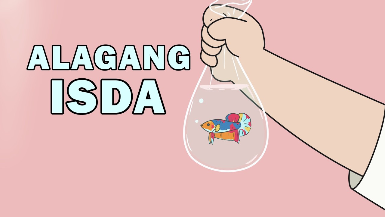 First Time Ko Mag-Alaga ng Betta Fish 🐟 | Ang Mali ng Beginner | Alagang ISDA