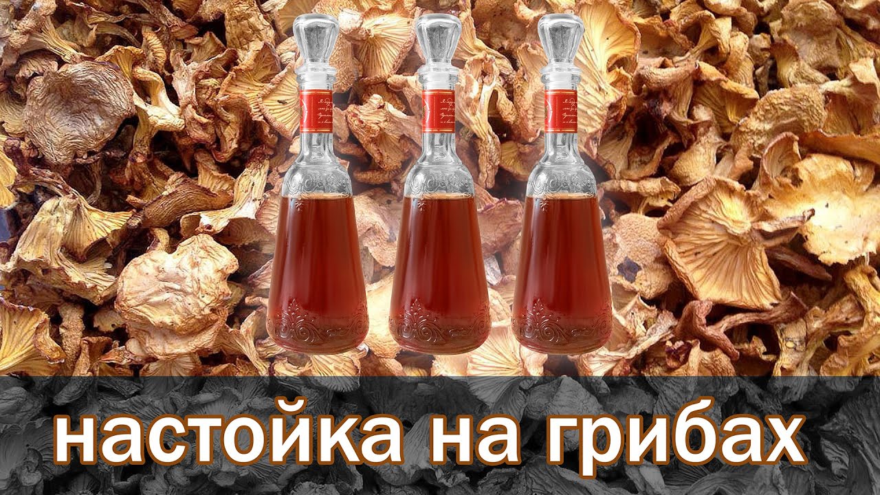 Рецепт настойки. Грибная настойка на водке от канала Свой Среди Своих Кулинария