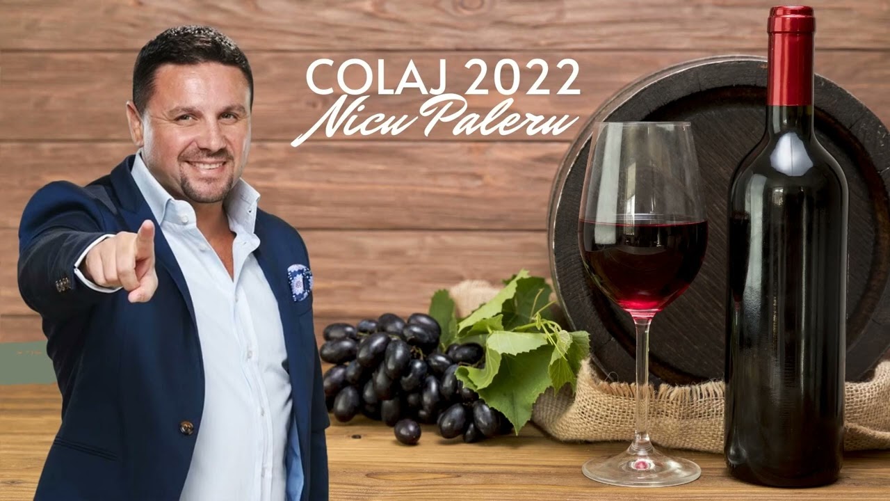 Nicu Paleru  💥 Colaj 2024💥 Muzica de Petrecere si Voie Buna 💥