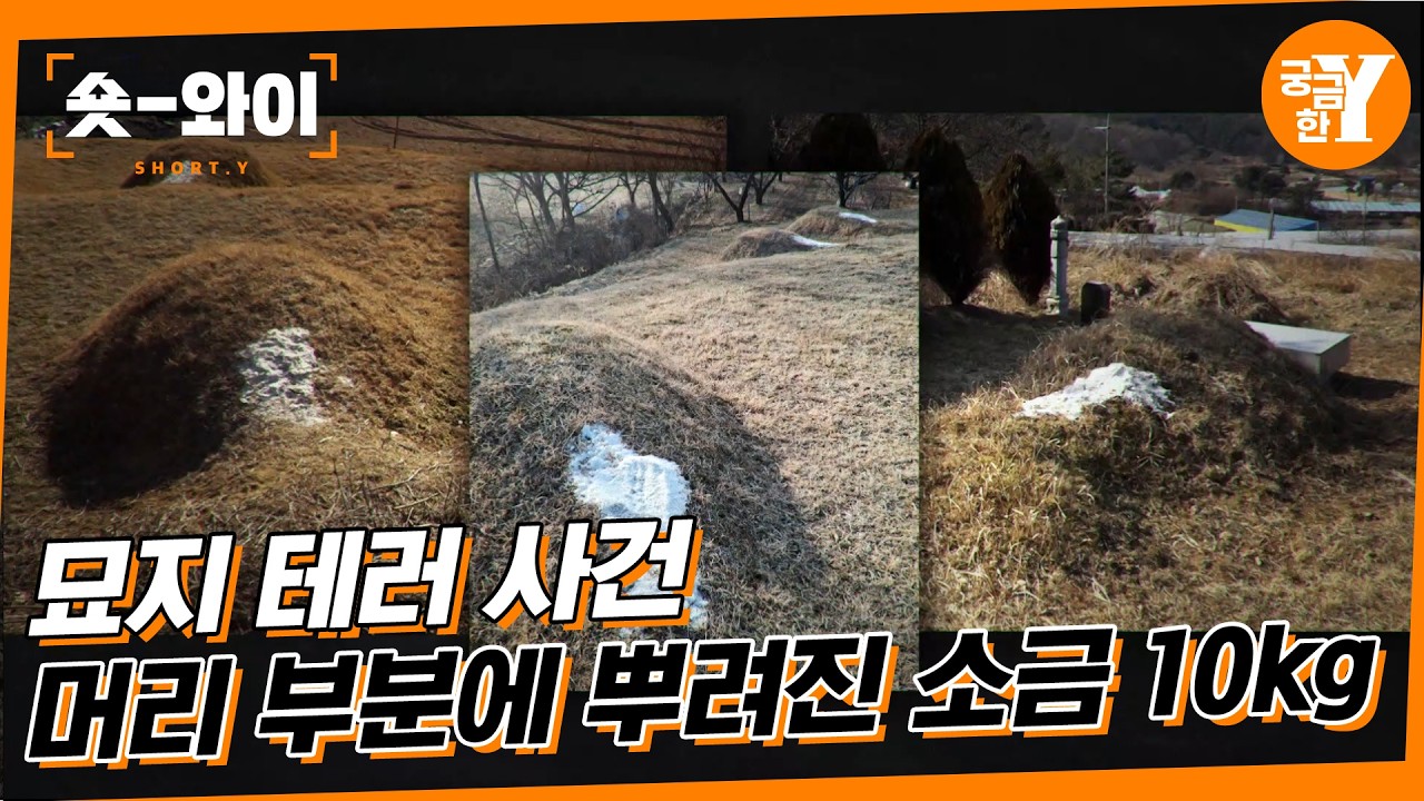 [Y 766회 요약] 묘지 위에 뿌려진 소금 10kg | 숏와이