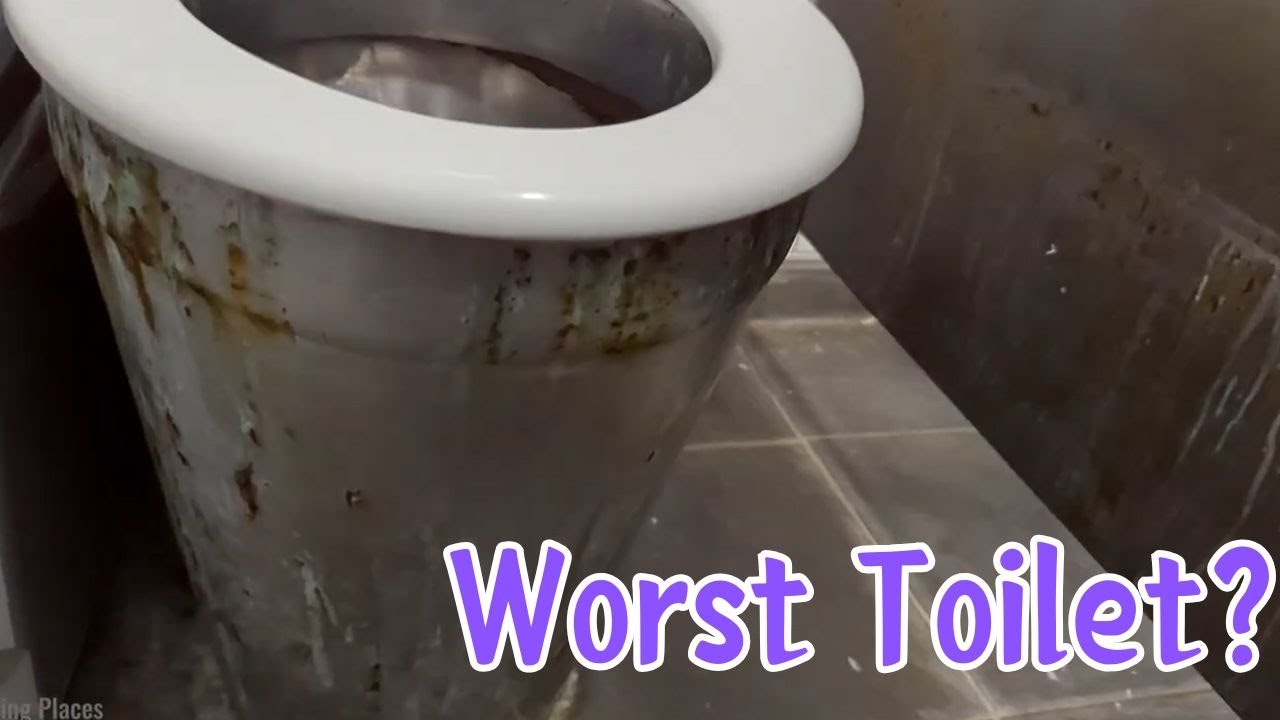 Not worth 20P | First ever toilet video | January 2024