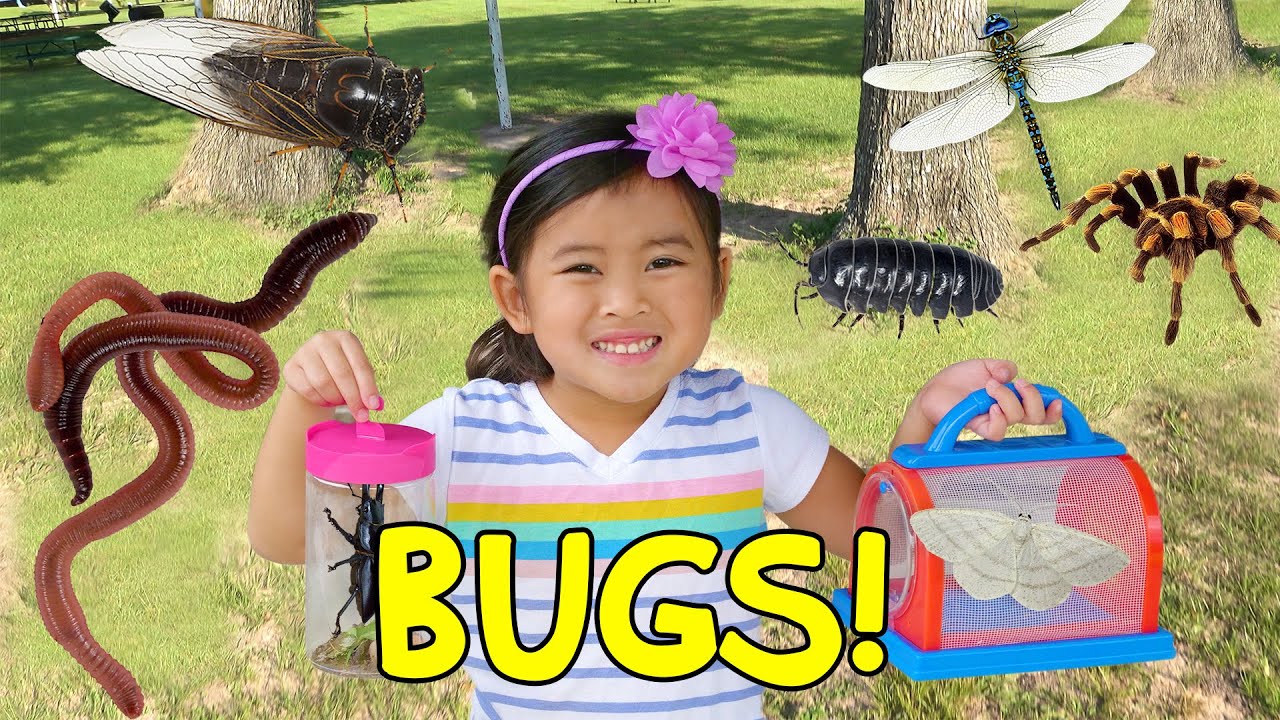 Harper and Daddy Play and Have a REAL Bug Hunt! We Catch and Look at Tiny Bugs in the Woods!