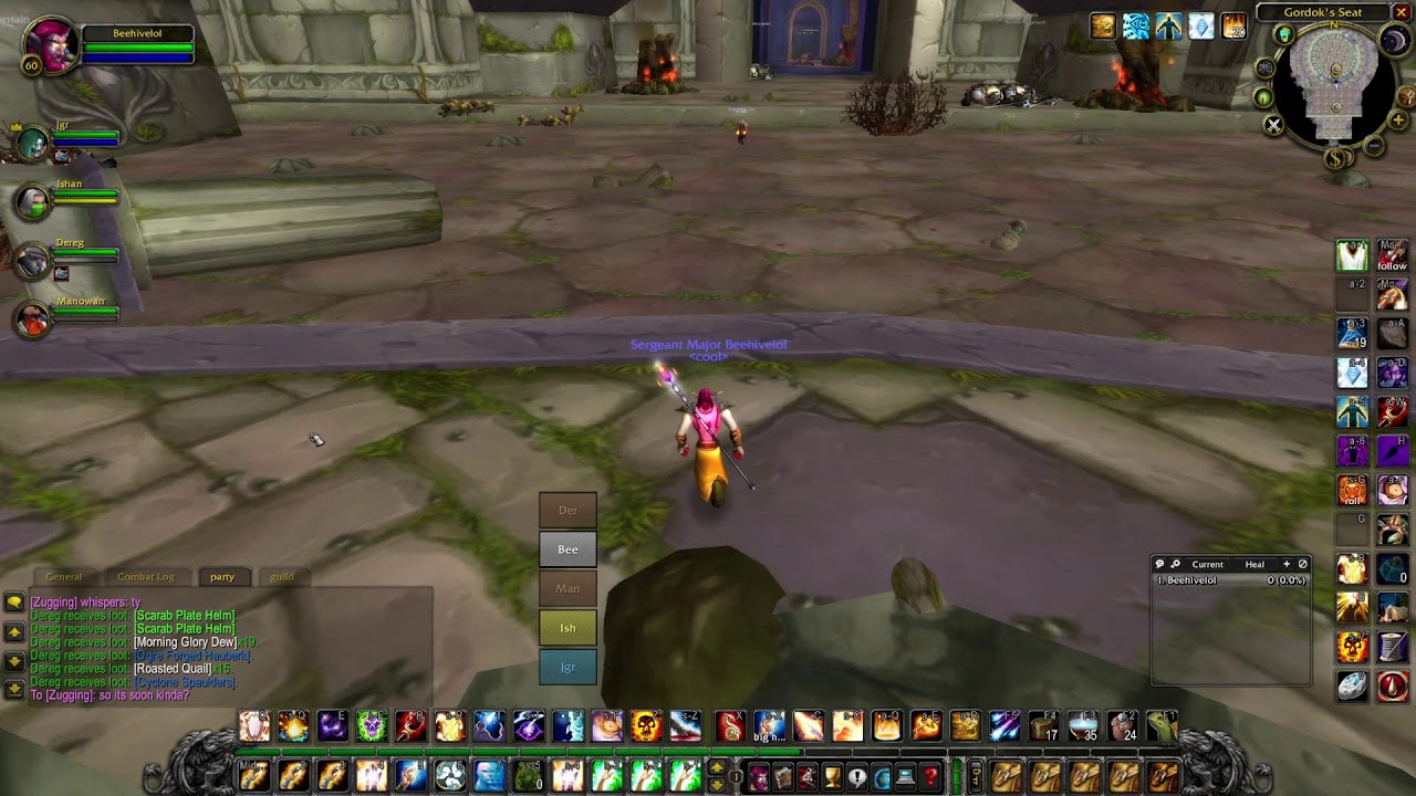 turtle wow classic raiding hunter, priest or druid