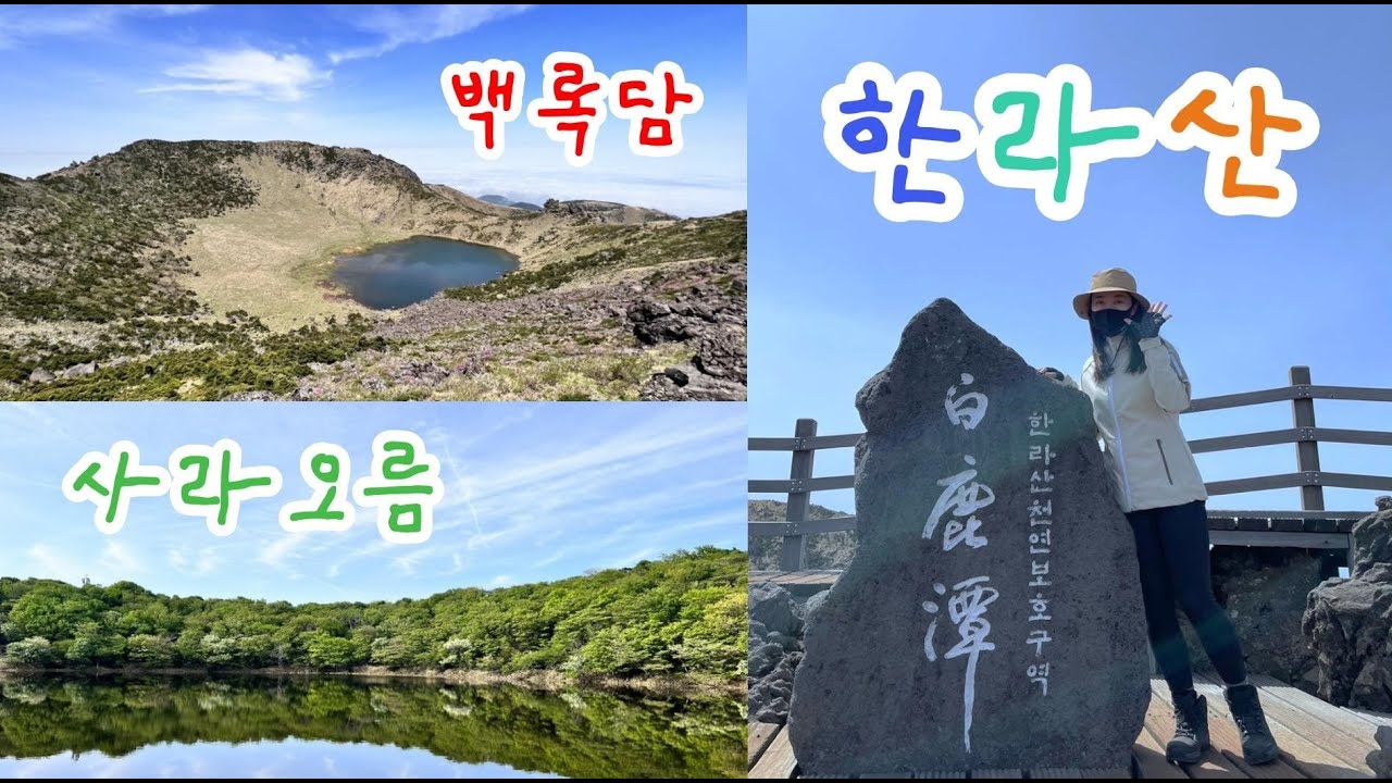 [제주] 한라산 백록담 성판악 코스 (사라오름 만수) 관음사 코스로 내려오기