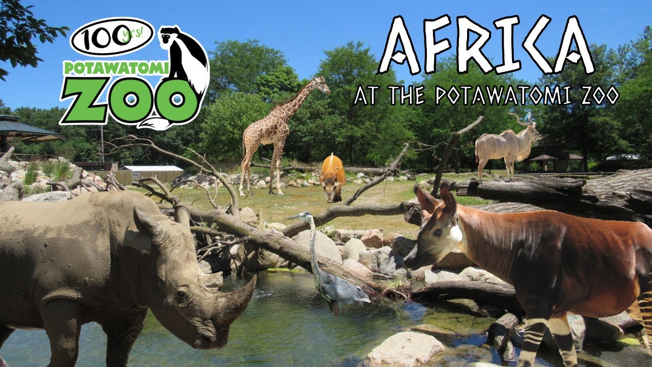 Africa at the Potawatomi Zoo | Exhibit Tours Ep. 6