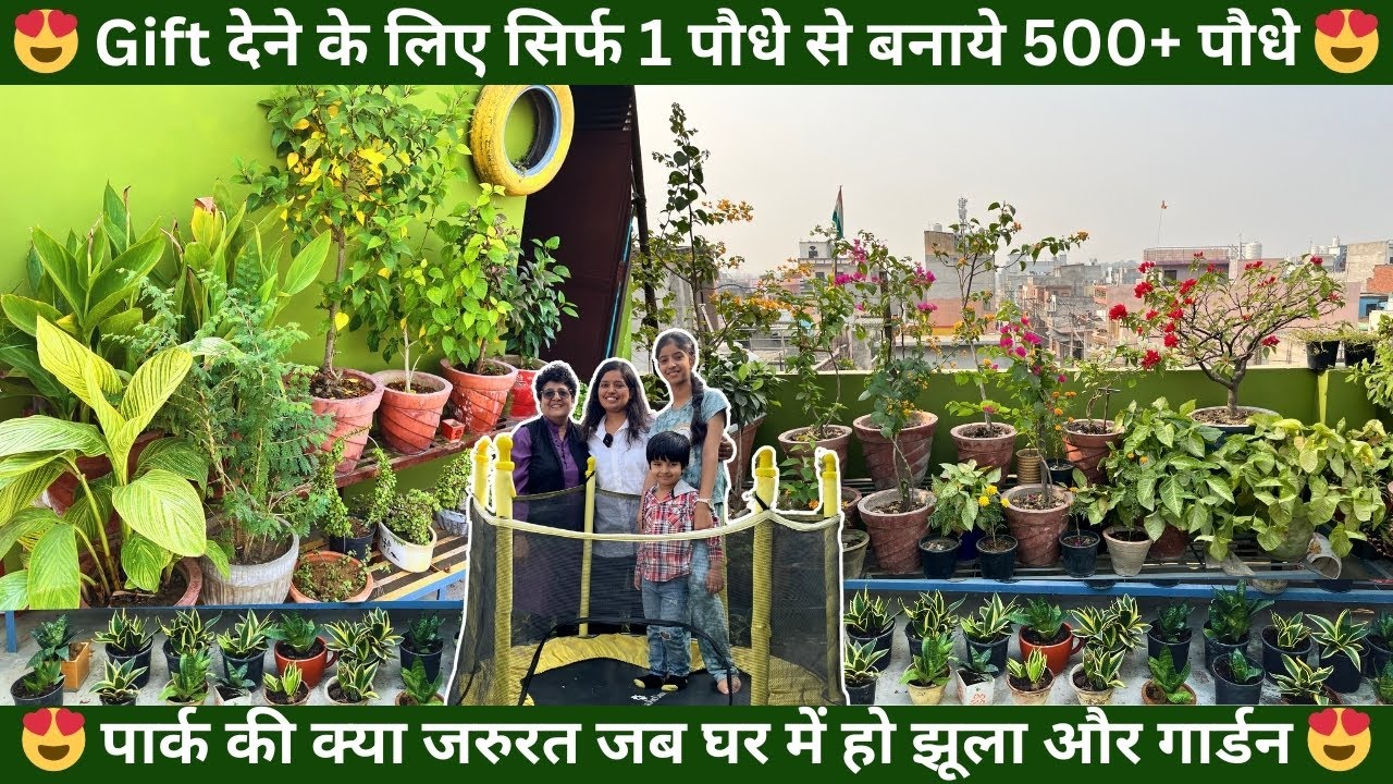 Gift देने के लिए सिर्फ 1 पौधे से बनाये 500+ पौधे😍पार्क की क्या जरुरत जब घर में हो झूला & गार्डन