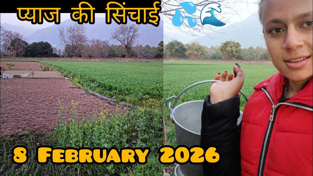 आज की मैंने प्याज की सिंचाई 🌊💦#adrak ke kam mein vyast#pahadi Lifestyle blog.