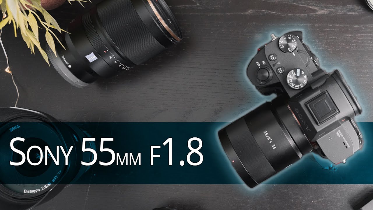Sony Zeiss FE 55mm f1.8 - Long Term Lens Review