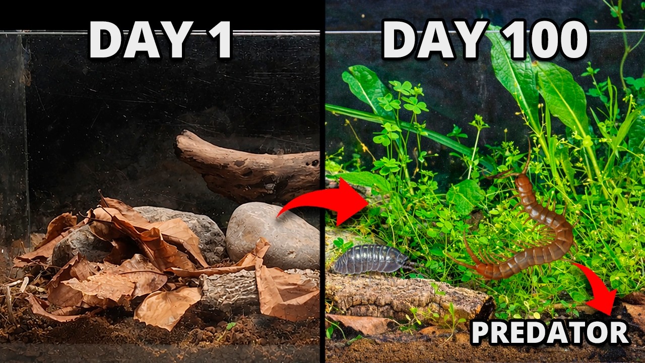 I Put Wild Soil in an Aquarium, 100 Days Later THIS Appeared!