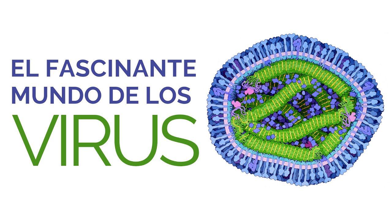 CIENCIA PARA LA GENTE: El Fascinante Mundo de los Virus - Ernesto Prieto Gratacós