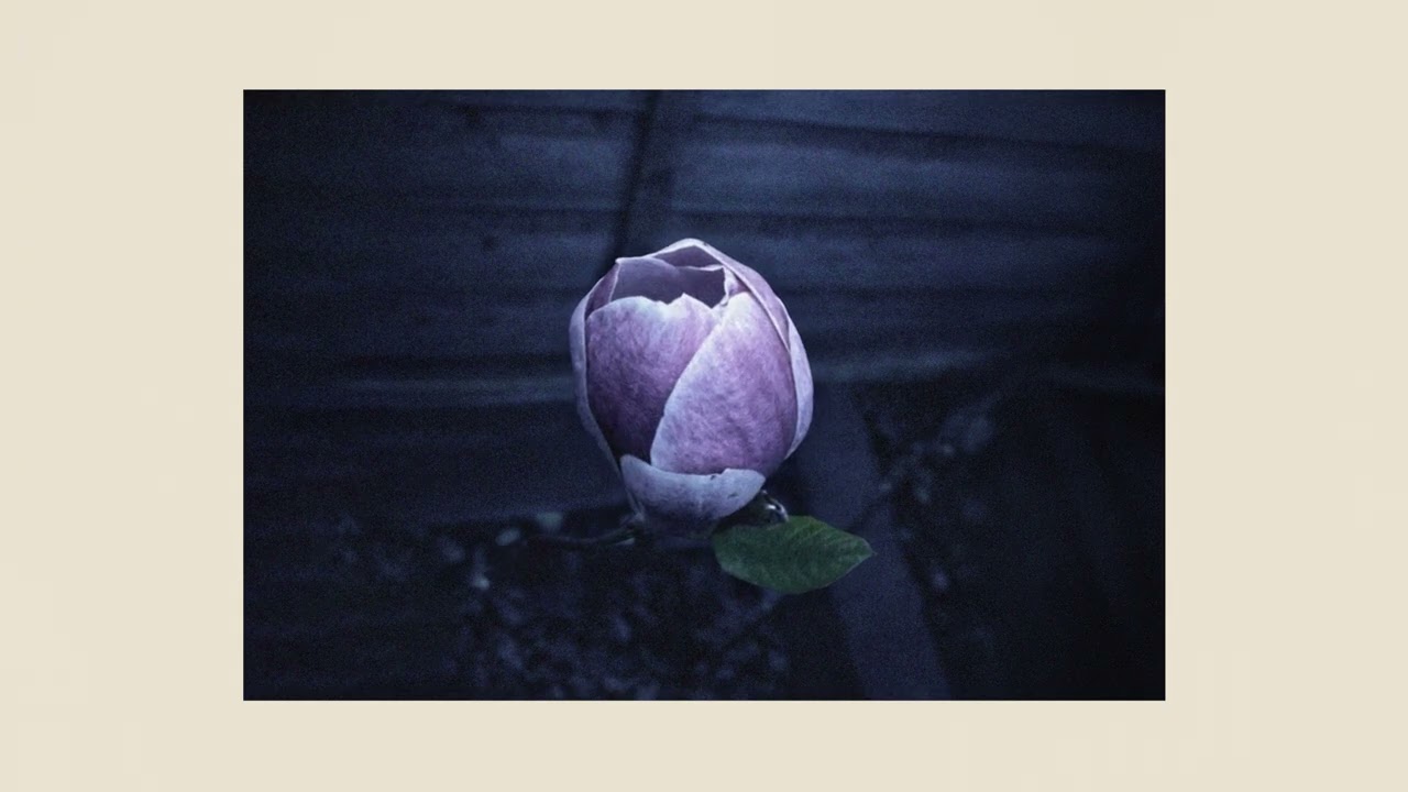 Erland Cooper - Music For Growing Flowers (Nocturne) - Pt. 1 (Visualiser)