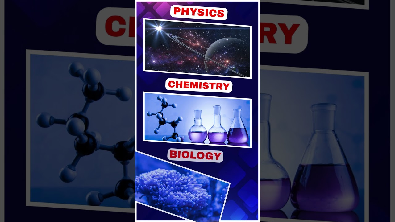 UG - TET - SGT - நியமன தேர்வு  - STUDY MATERIALS 